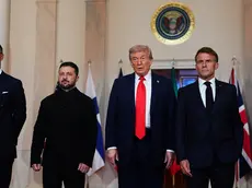 Zelensky, Trump e Macron