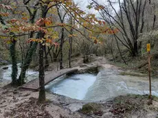 Boschi a Natale 2025