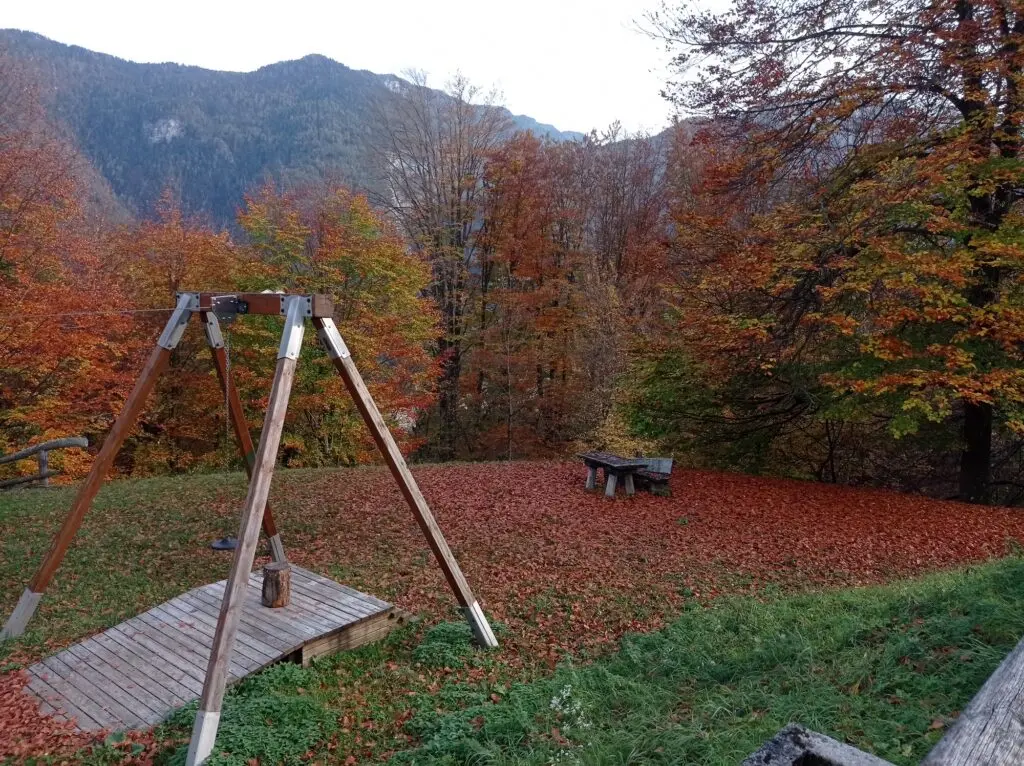 Boschi a Natale 2025