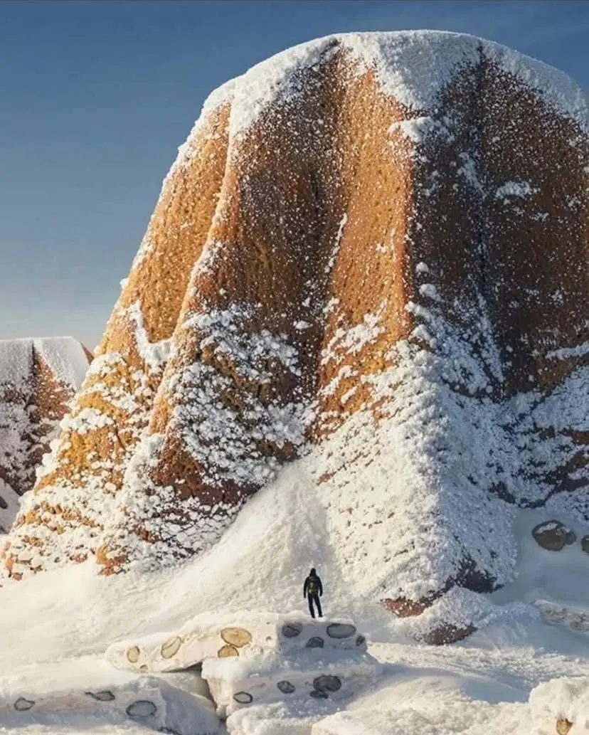 Un panettone con lo zucchero a velo che diventa una montagna innevata