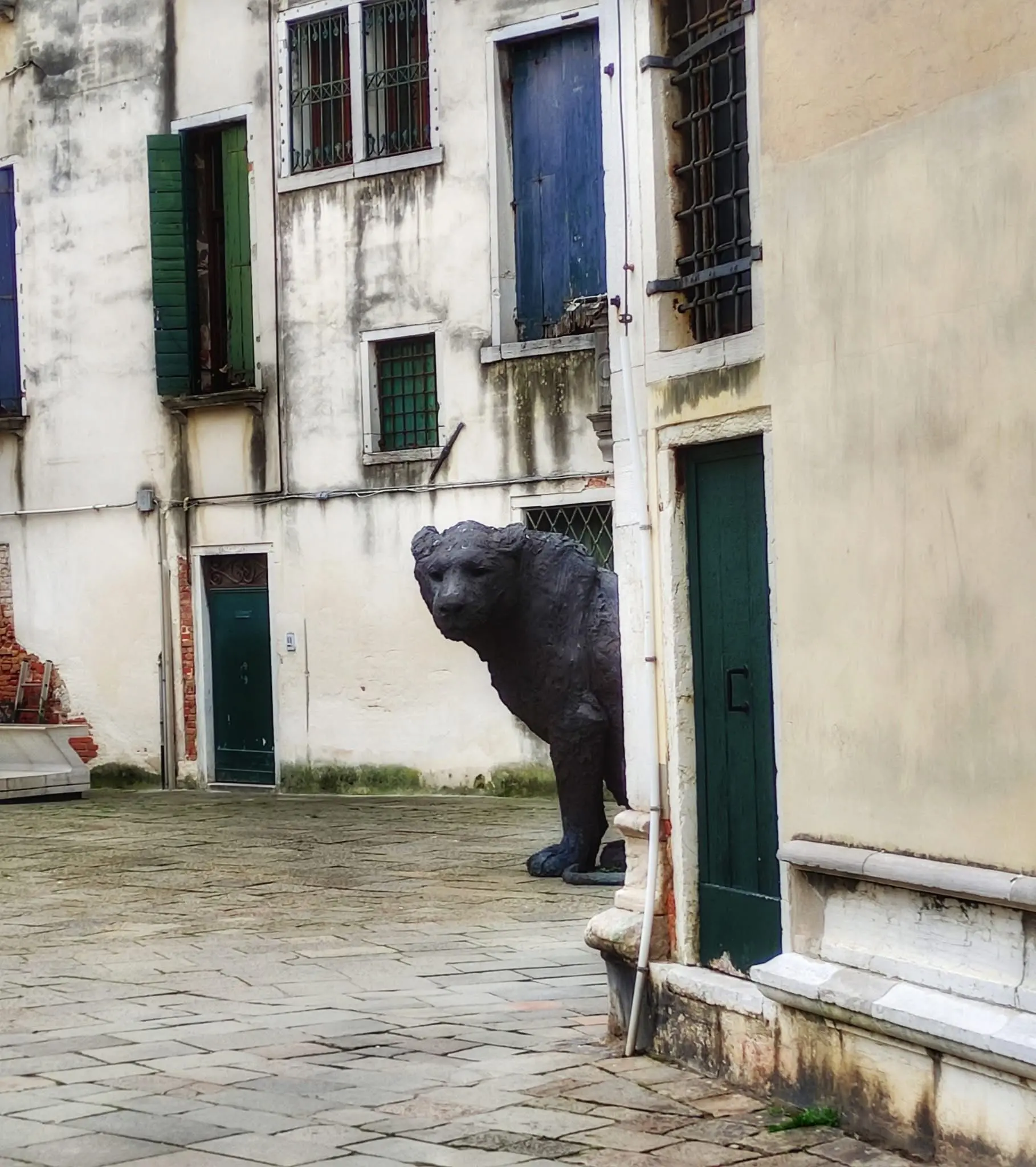 Un orso tra le calli di Venezia