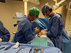 Intervento di chirurgia senologica all’Istituto Oncologico Veneto Irccs