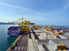 Il Molo VII a Trieste