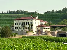 Cantina e vigneti dell'azienda friulana Schiopetto