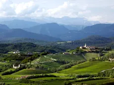 Borghi e verde, a 400 metri sul livello del mare: la pace e la bellezza di Dolegna del Collio