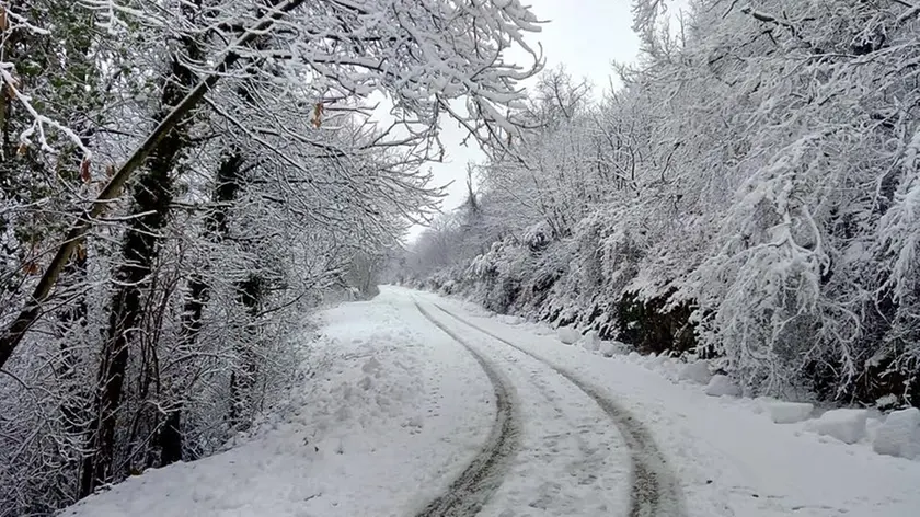 Bambino di 11 anni lasciato giù dal bus e costretto a tornare a casa sotto la neve