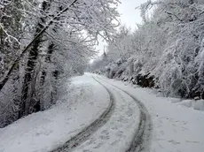 Bambino di 11 anni lasciato giù dal bus e costretto a tornare a casa sotto la neve