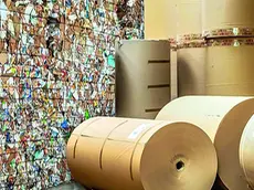 Carta da macero e bobine di carta dell'azienda Pro. Gest