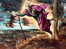 La creazione degli animali è una delle tre tele del Tintoretto che appartengono alle Gallerie dell’Accademia