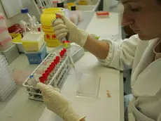 Un laboratorio dell'Istituto Zooprofilattico delle Venezie