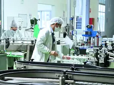 Una linea produttiva dello stabilimento Diaco biofarmaceutici di Trieste