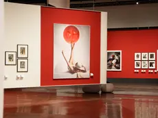 L'allestimento della mostra (foto Andrea Avezzù)