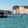 Il delfino Mimmo a Venezia