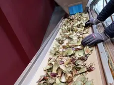 Il processo di lavorazione