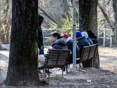 Babygang sempre più aggressive a Nordest