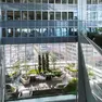 Lo Sky Garden all’interno del grattacielo Commerzbank, a Francoforte