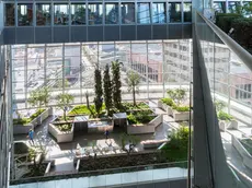 Lo Sky Garden all’interno del grattacielo Commerzbank, a Francoforte