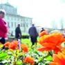 Un weekend tra i fiori nel giardino di Villa Marin a Passariano