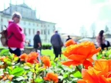 Un weekend tra i fiori nel giardino di Villa Marin a Passariano