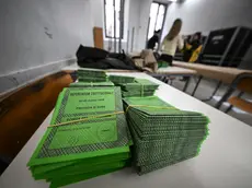 Le schede elettorali