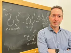 Andrea Mattarei a capo del team assieme a Sara De Martin