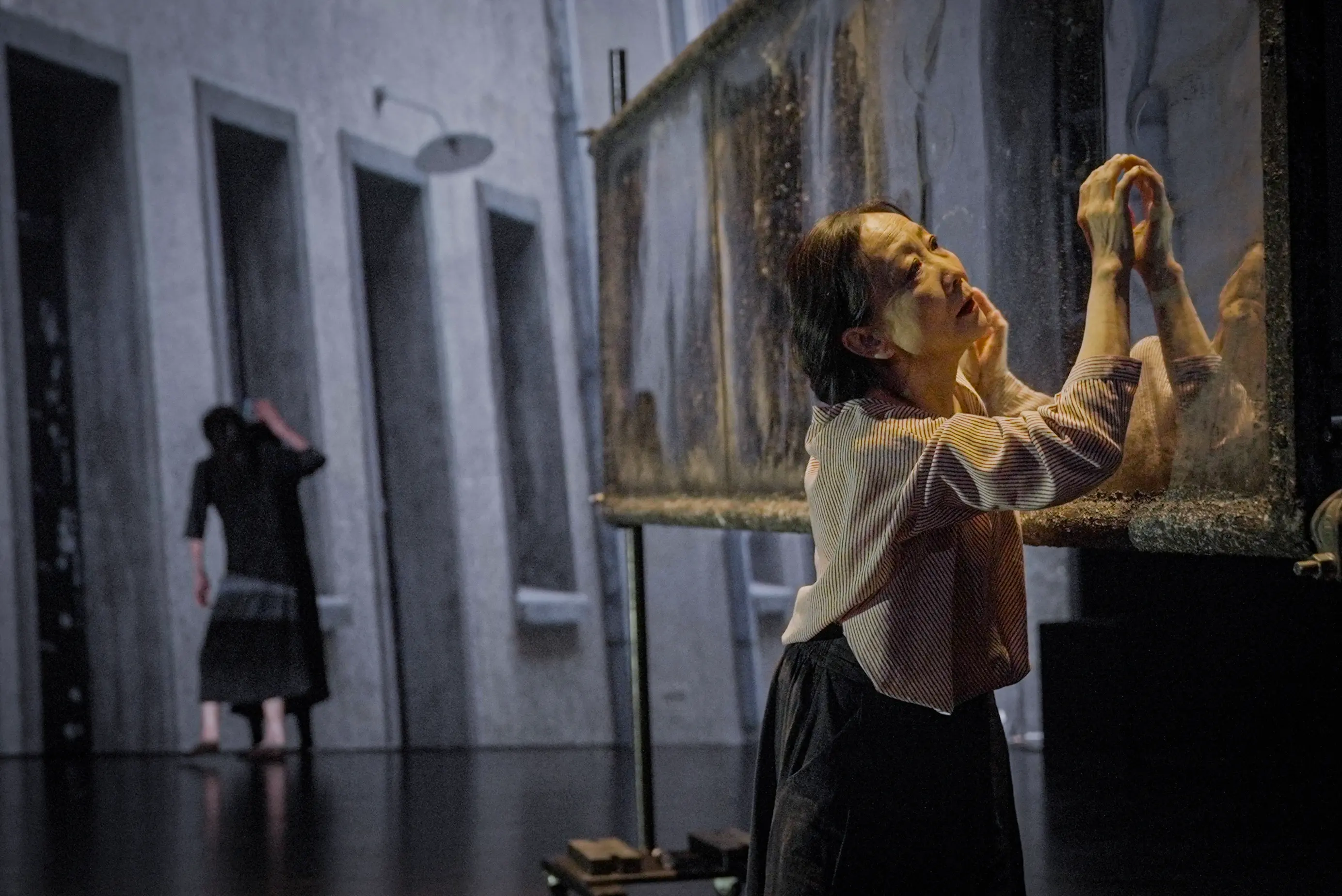 WHAT IS WAR di Wen Hui e Eiko Otake Foto Jingqiu Guan