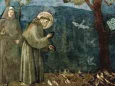 La predica agli uccelli dipinta da Giotto all’interno della Basilica superiore di Assisi. Cazzullo e Branduardi racconteranno San Francesco a teatro