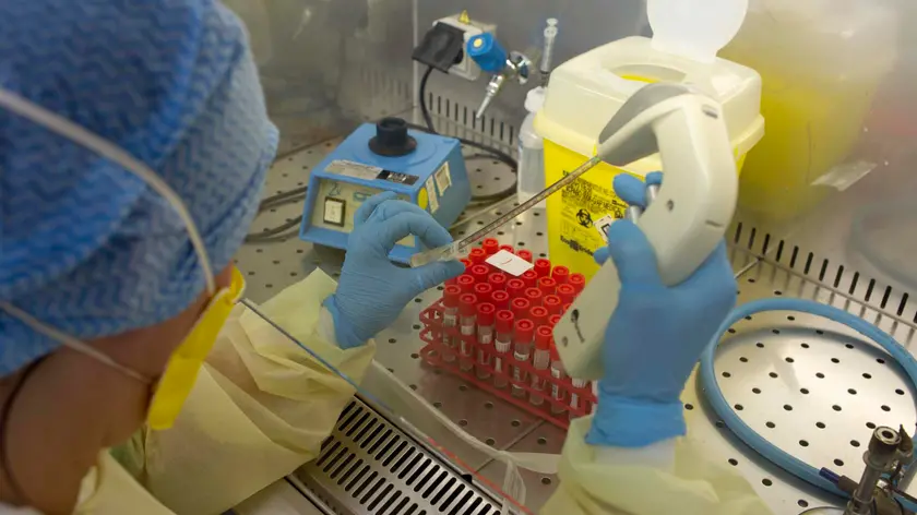 Un laboratorio di ricerca. A Padova la ricerca che accelera la trasformazione delle cellule in neuroni