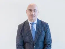 Il nuovo Segretario generale dei porti di Trieste e Monfalcone, Natale Ditel