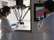 Un macchinario di SolidWorld