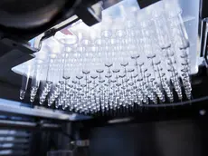 L’interno del Technology Excellence Center di Stevanato a PIombino Dese