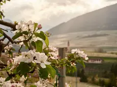 La Val di Non rifiorisce in primavera