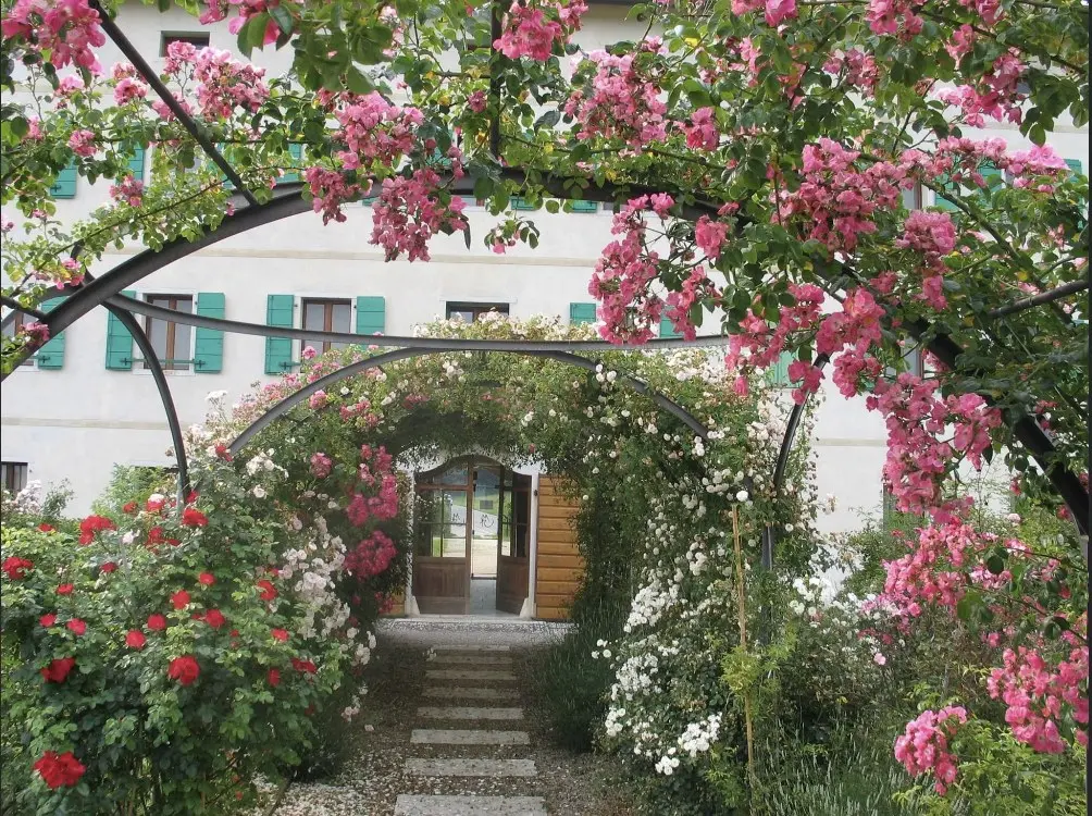 cesiomaggiore, l'arco con le rose all'ingresso della villa di seravella