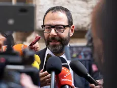 Il senatore triestino Stefano Patuanelli (foto Ansa)