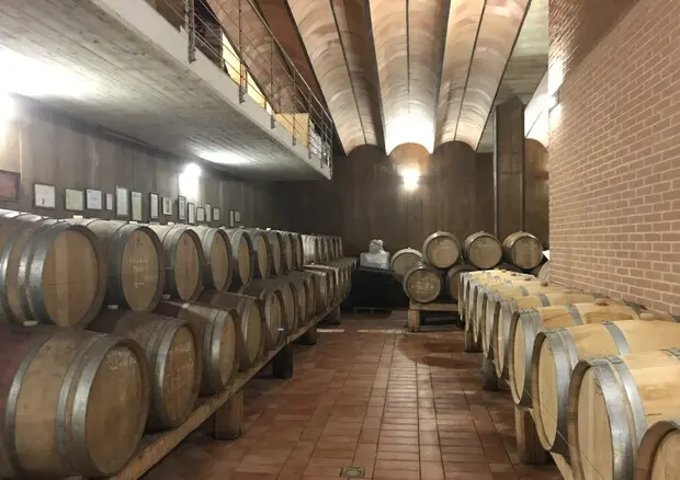 Dazi, calo dei consumi e clima: frenata dellexport, ecco le sfide al mondo del vino