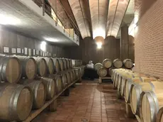 Il settore del vino sta vivendo un momento difficile a Nordest