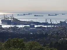 Petroliere nel golfo di Trieste (foto Andrea Lasorte)