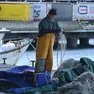 Foto Bruni Trieste 27.11.25 I pescatori di Trieste