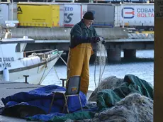Foto Bruni Trieste 27.11.25 I pescatori di Trieste