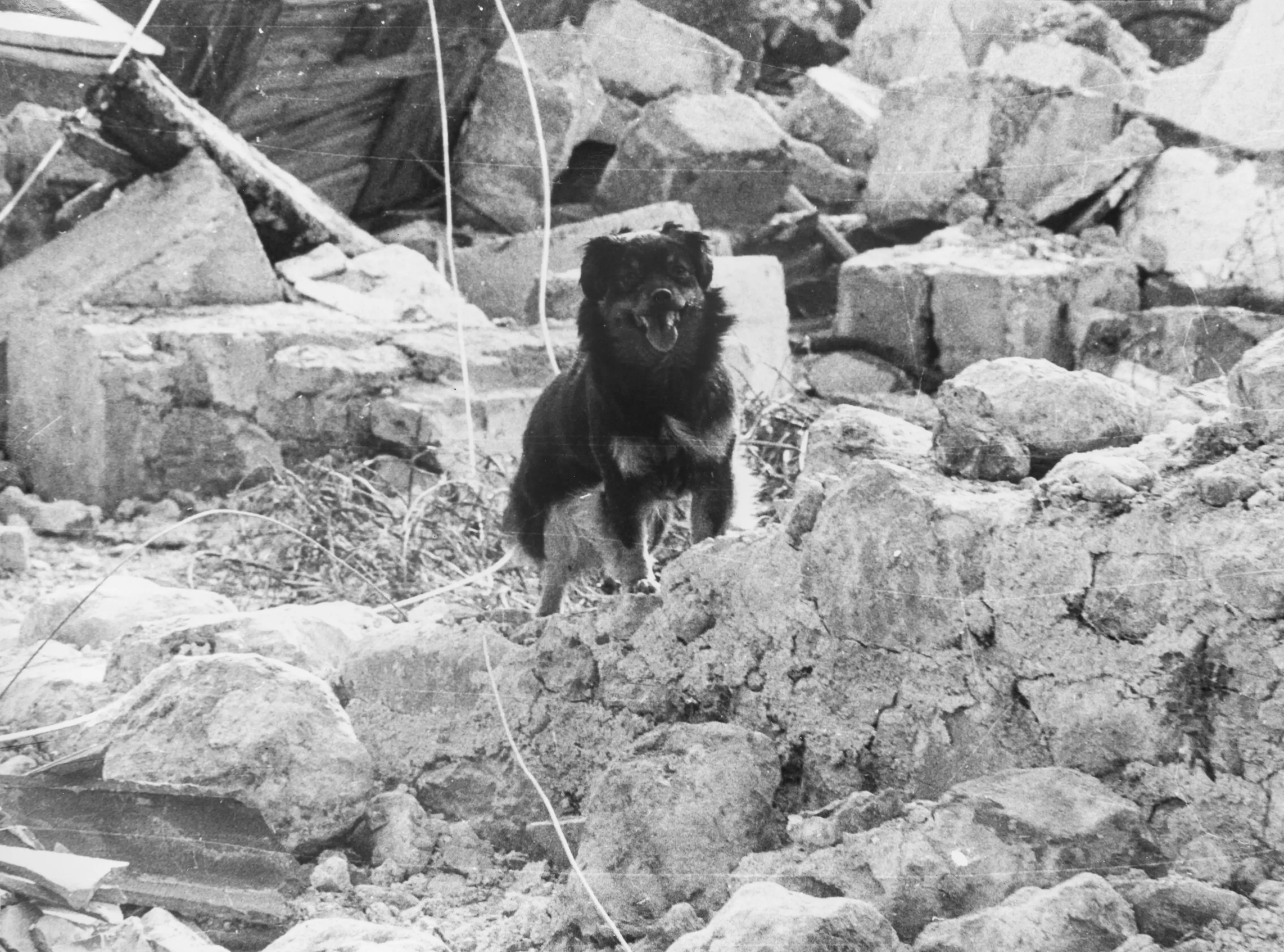 (foto Archivio Messaggero Veneto)