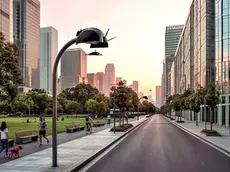 Un’immagine esemplificativa della docking station di Nest®, installata su un lampione