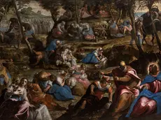 Il popolo d'Israele nel deserto di Tintoretto dopo il restauro (foto Matteo De Fina)