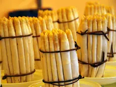 Asparago bianco di Badoere