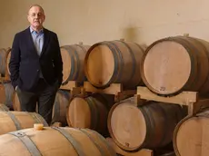 Il presidente della Doc Friuli Stefano Trinco