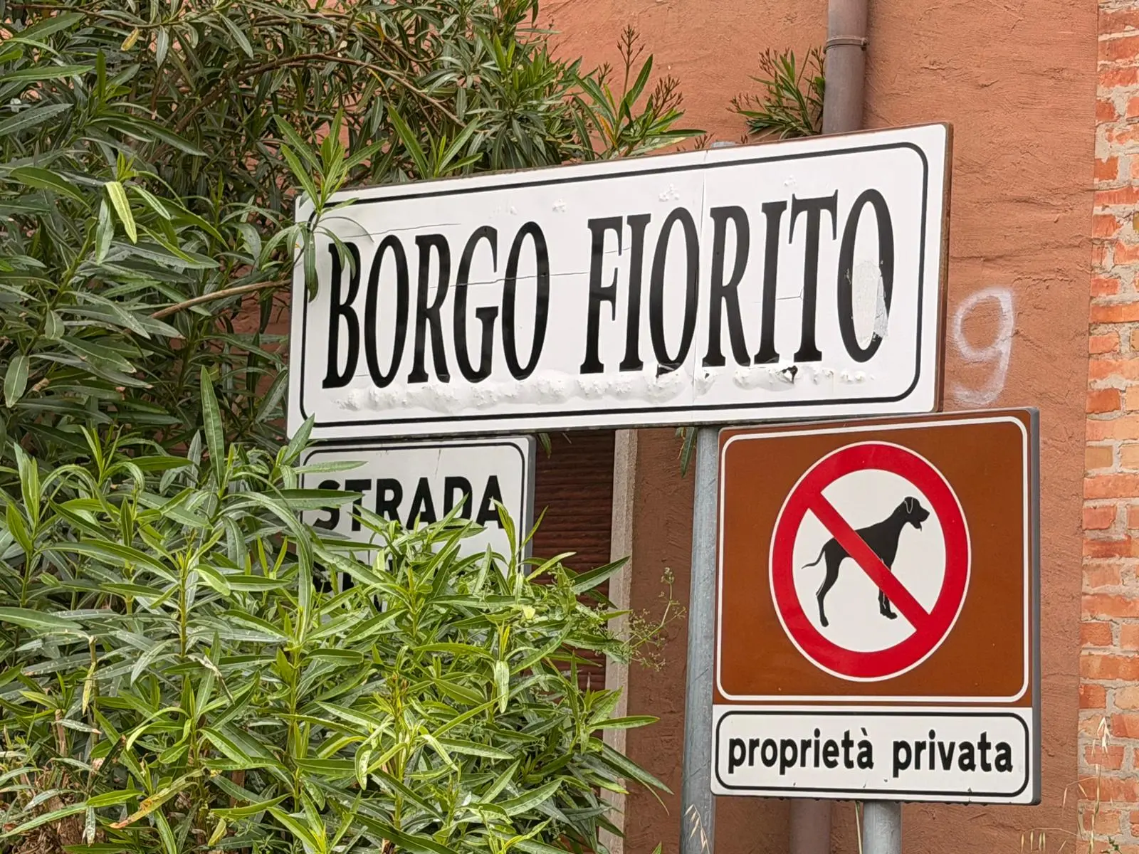 Foto Pòrcile