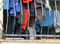 Foto Pòrcile