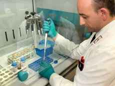 Un militare in laboratorio che esegue un test di comparazione del Dna