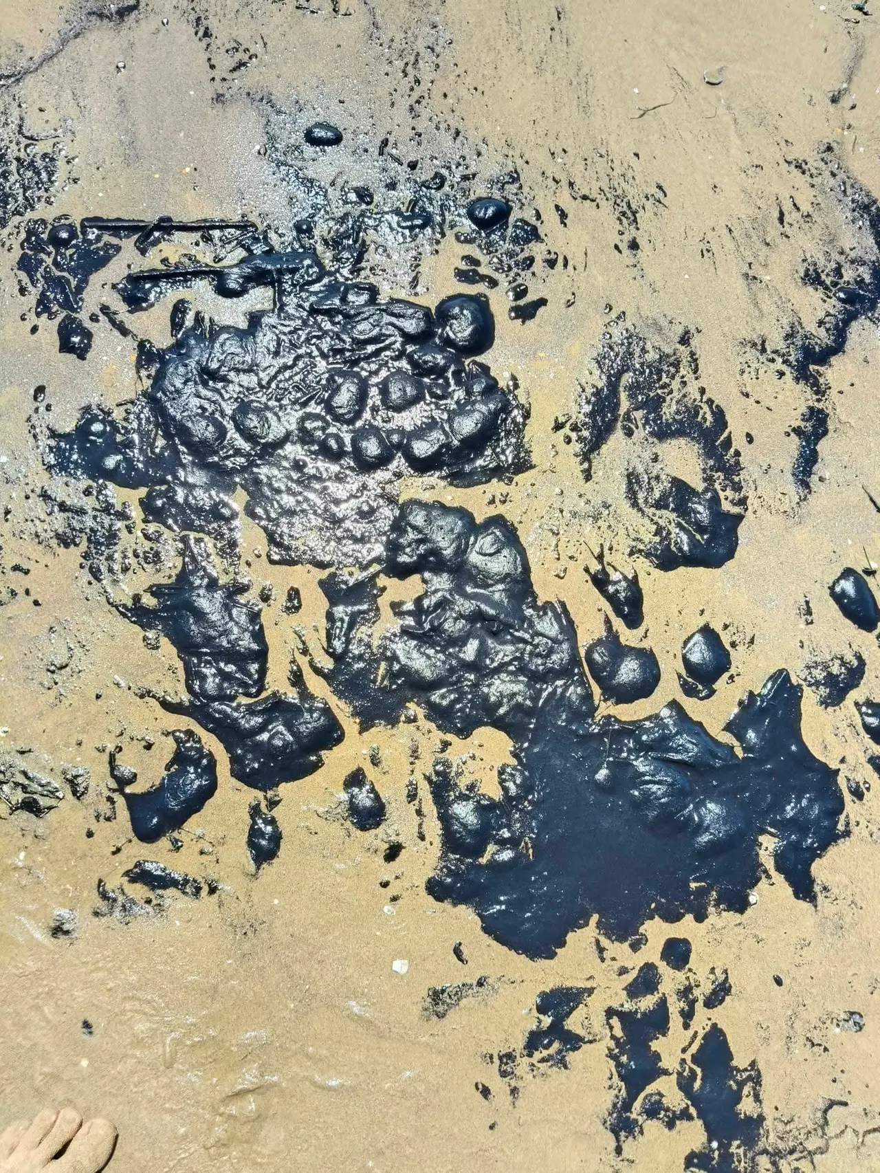 Le chiazze del nero di seppia