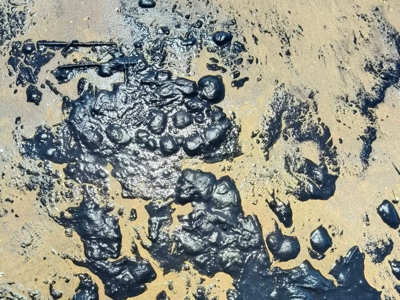 Le chiazze del nero di seppia
