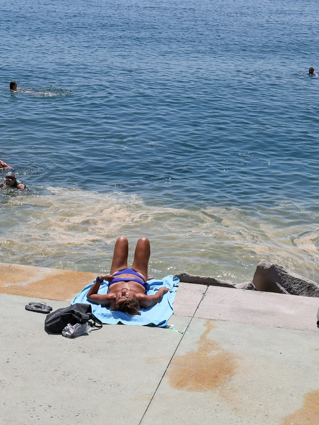 Martedì 26 maggio 2026: l'acqua di mare che bagna Trieste è gialla a causa del polline: scongiurato, per questa volta, il rischio mucillagini. Fotoservizio di Andrea Lasorte